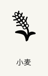 小麦